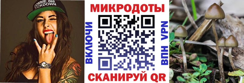 Галлюциногенные грибы Psilocybe  Псков 